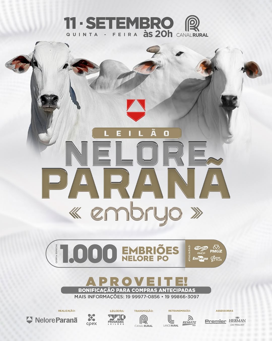 541268579_18161820088375405_3107046525587491951_n