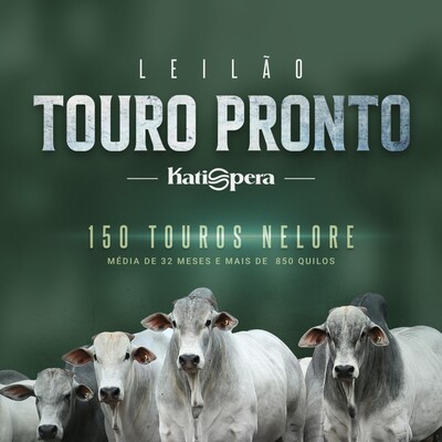 0783998FEE27F02536177208D40C308E