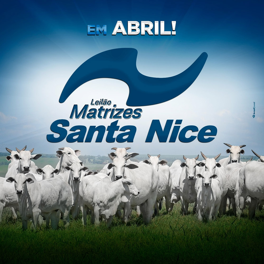 leilao-matrizes-santa-nice-em-abril